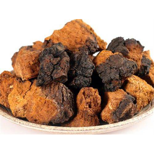 Chaga Powder