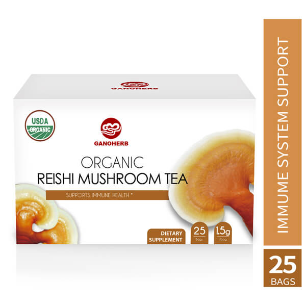 Tisane Champignon Reishi Bio