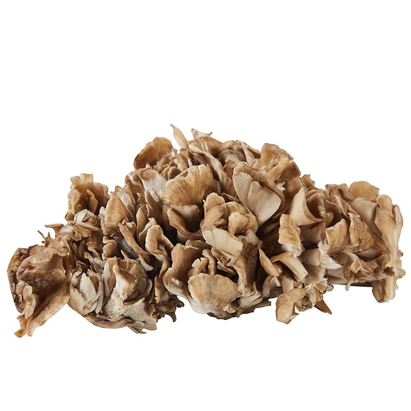 Organic Maitake Mushroom