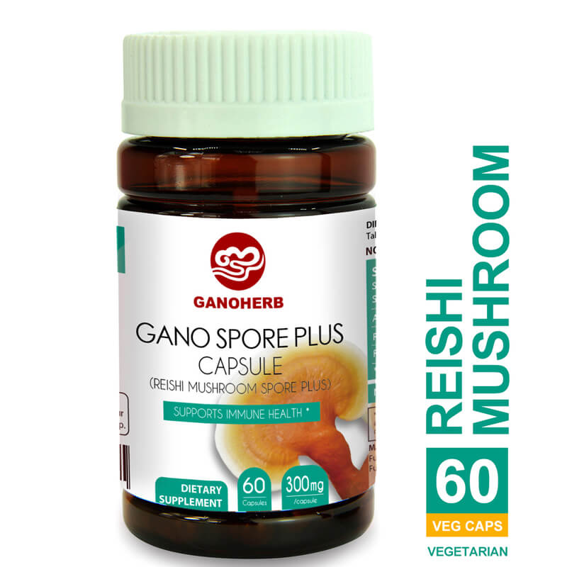 Reishi Mushroom Capsules