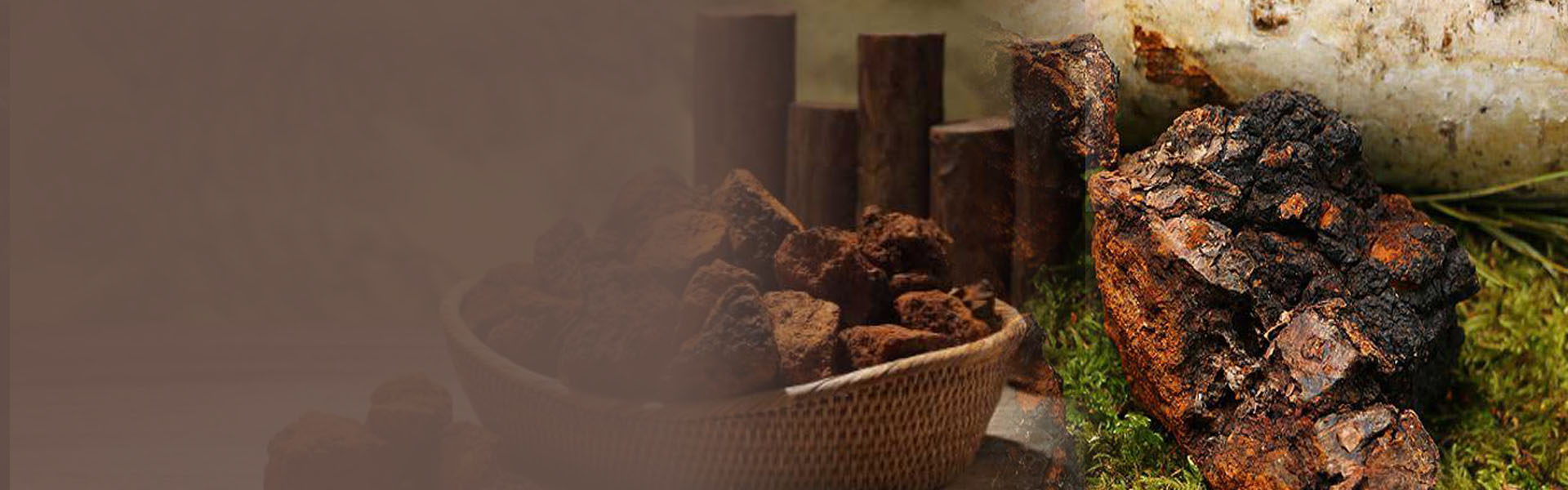 Chaga For Sale