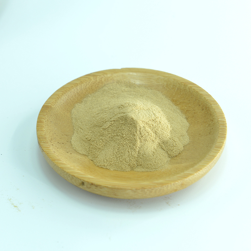 Organic Reishi Mushroom Powder